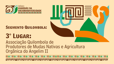 8 Segmento Quilombola- 3.png