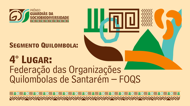 9 Segmento Quilombola- 4.png