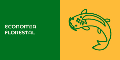 economia florestal