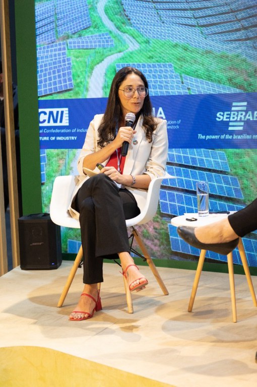 Foto 4  Lígia Leite SoaresItaipu Binacional.jpeg