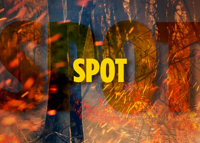 spots