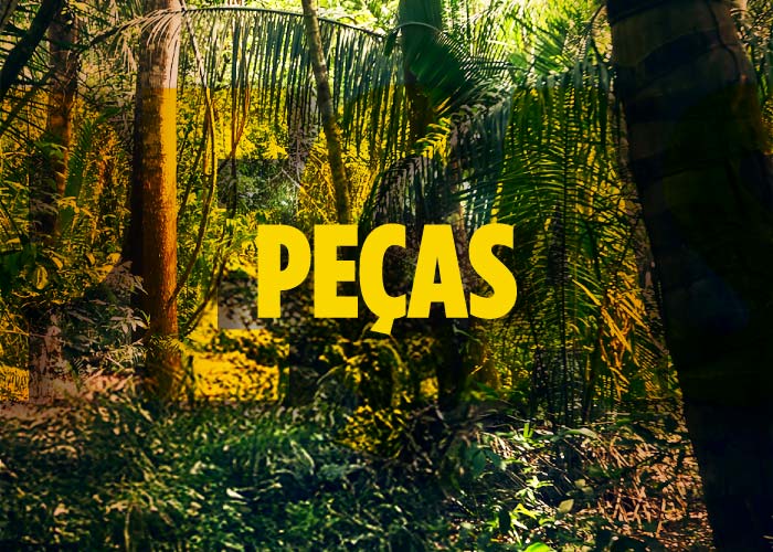 PEÇAS