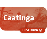 ppcaatinga