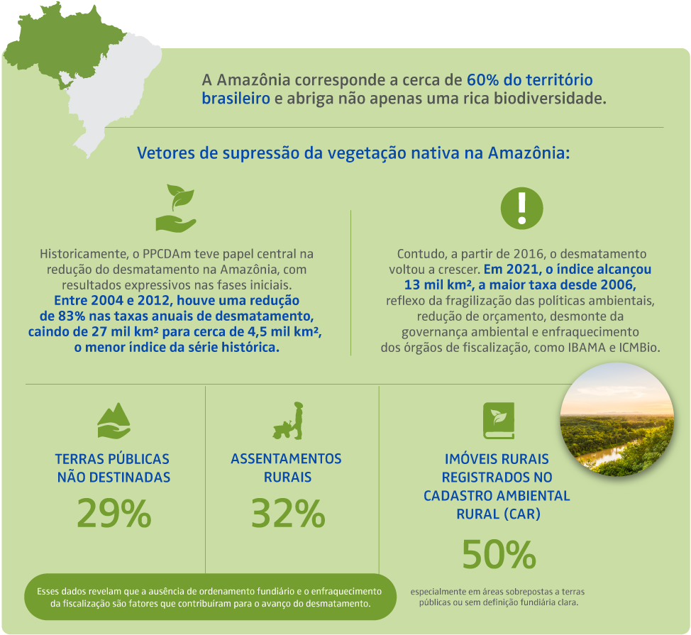 infografico amazonia