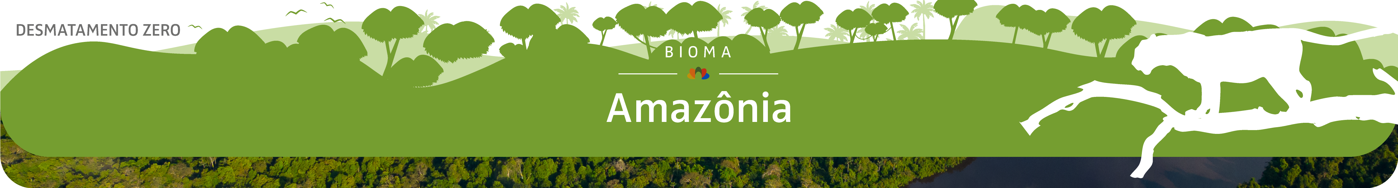 amazonia