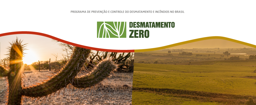BANNER-PAGINA-PRINCIPAL-Desmatamento-zero_2.png