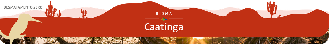 caatinga