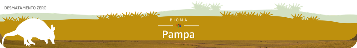 banner pampa