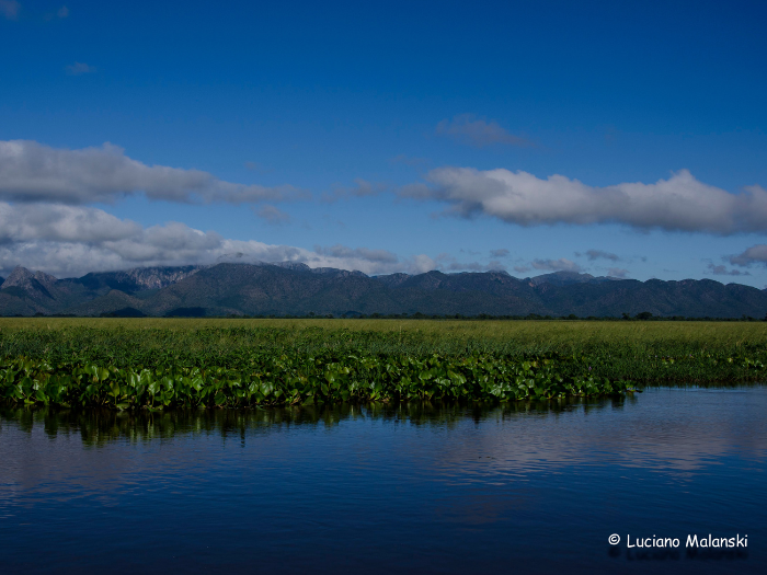 pantanal1.png