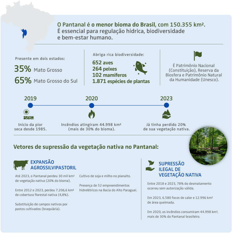 infografico pantanal