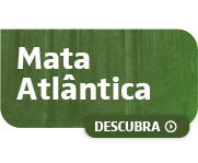 mata atlântica