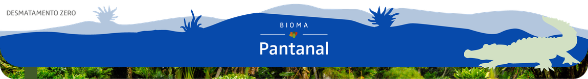 pantanal