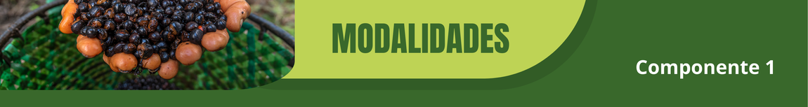 Modalidades