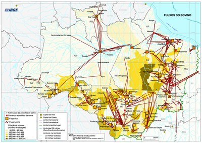Mapa 1: Fluxos do bovino