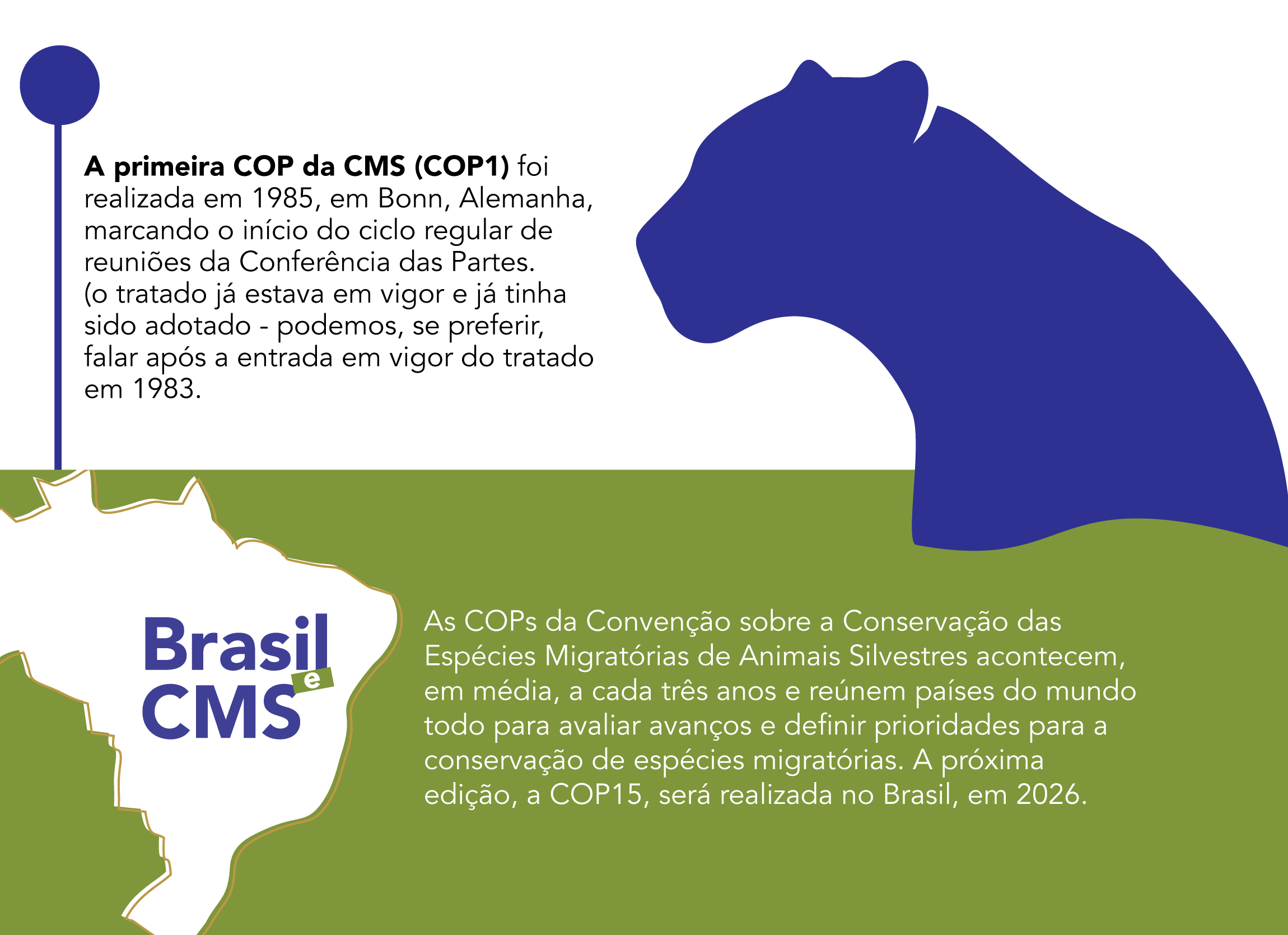 brasil e cms