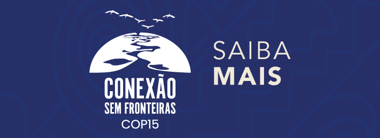 programação conexões sem fronteiras