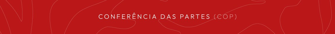 conferencia das partes