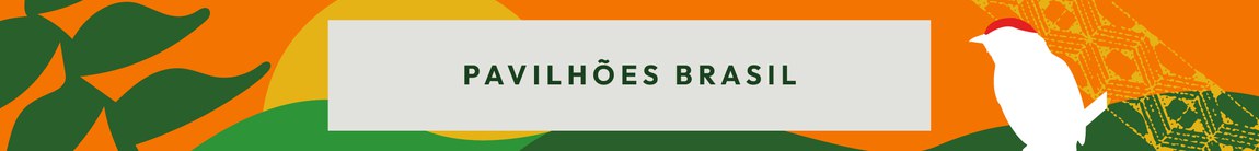 pavilhões brasil