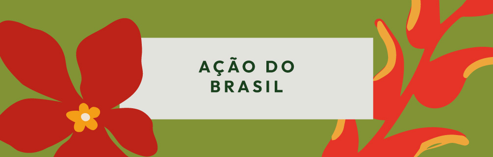 ação do brasil