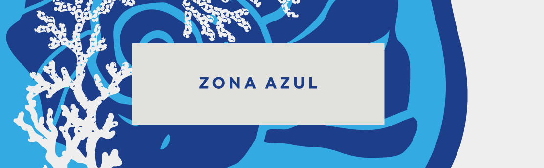 zona azul