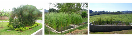 Zonas úmidas. Fonte: CONFEDERAÇÃO NACIONAL DE MUNICÍPIOS, 2023.