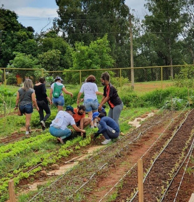 Voluntários trabalhando na horta comunitária do Guará (DF) Fonte: Divulgação Ministério da Agricultura e Pecuária, 2022.