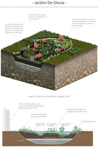 Ilustração de um corte esquemático de jardim de chuva.  Divulgação: GIZ Fonte: GUAJAVA, 2023.