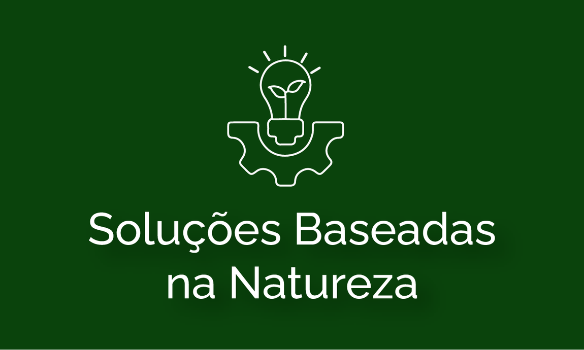 solução baseadas na natureza