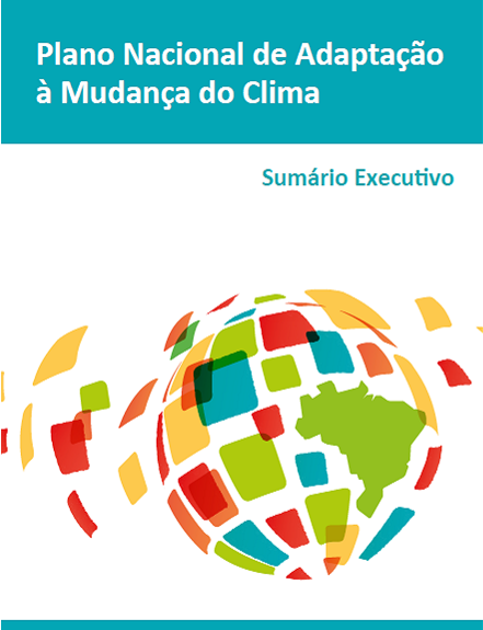 sumario executivo.png