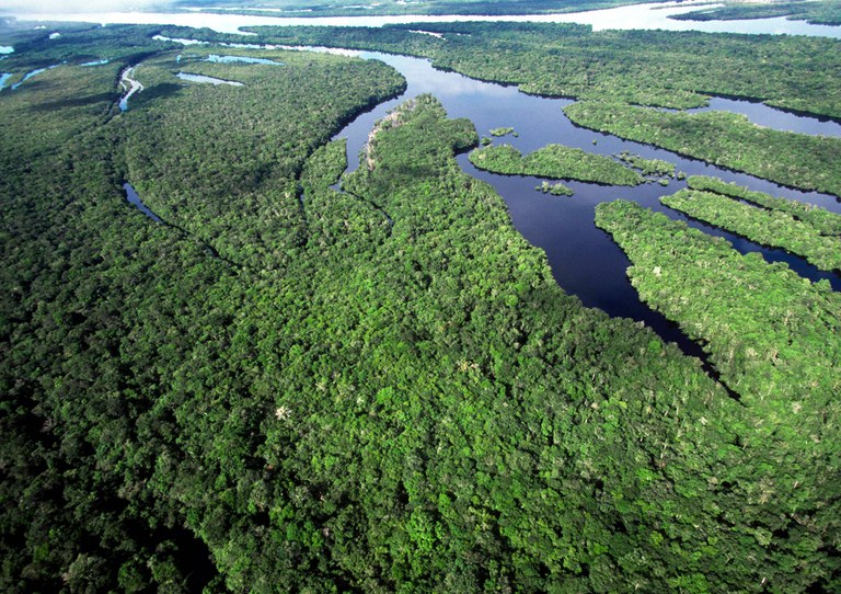 Anavilhanas 1100 x777.jpg