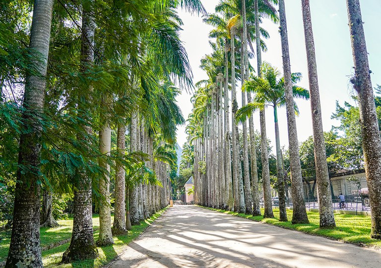 Foto: Izabela Bruzaca/MMA