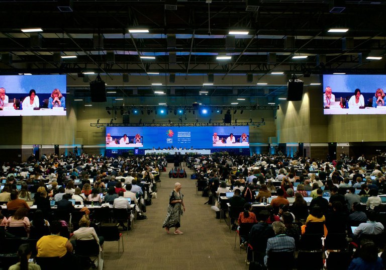 Plenária de encerramento da COP16 da Biodiversidade, em Cali, na Colômbia. Foto: ONU Biodiversidade