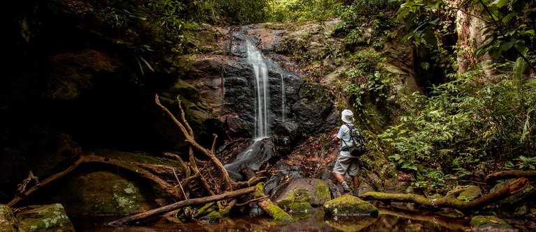 Curso de Ecoturismo Gratuito