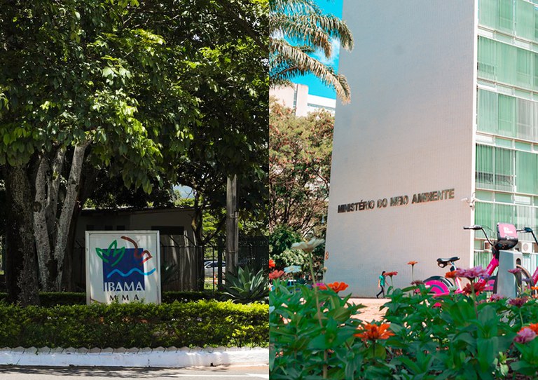IBAMA_MMA_1100x777.jpg