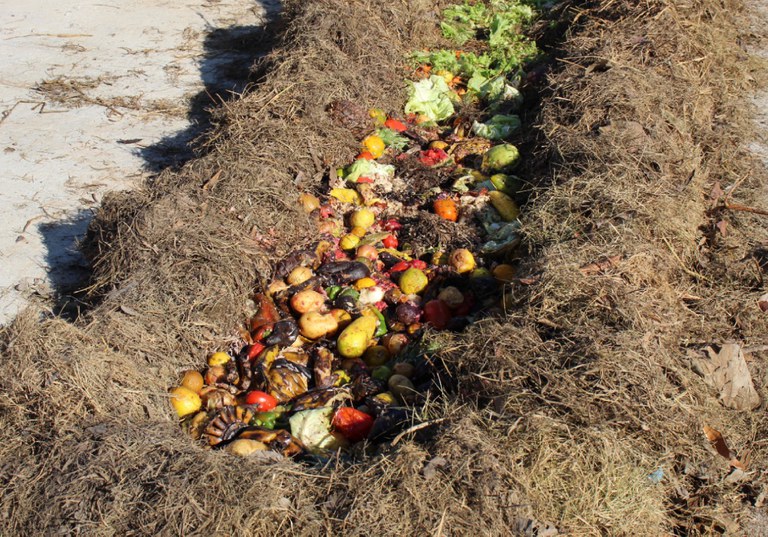 Leira de compostagem do pátio da associação Põe no Balde, em Marabá (PA). Foto: Põe no Balde