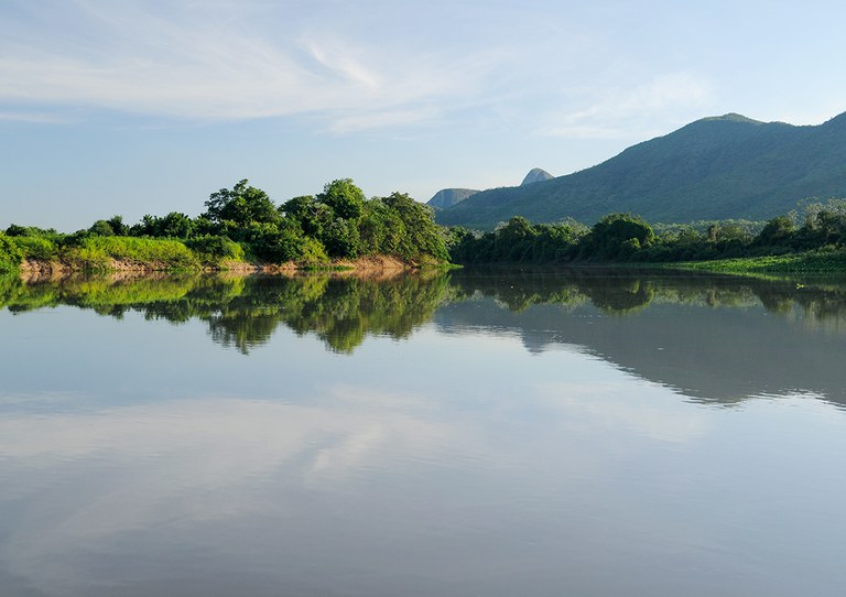 096- RPPN Acurizal - Zig Koch.jpg