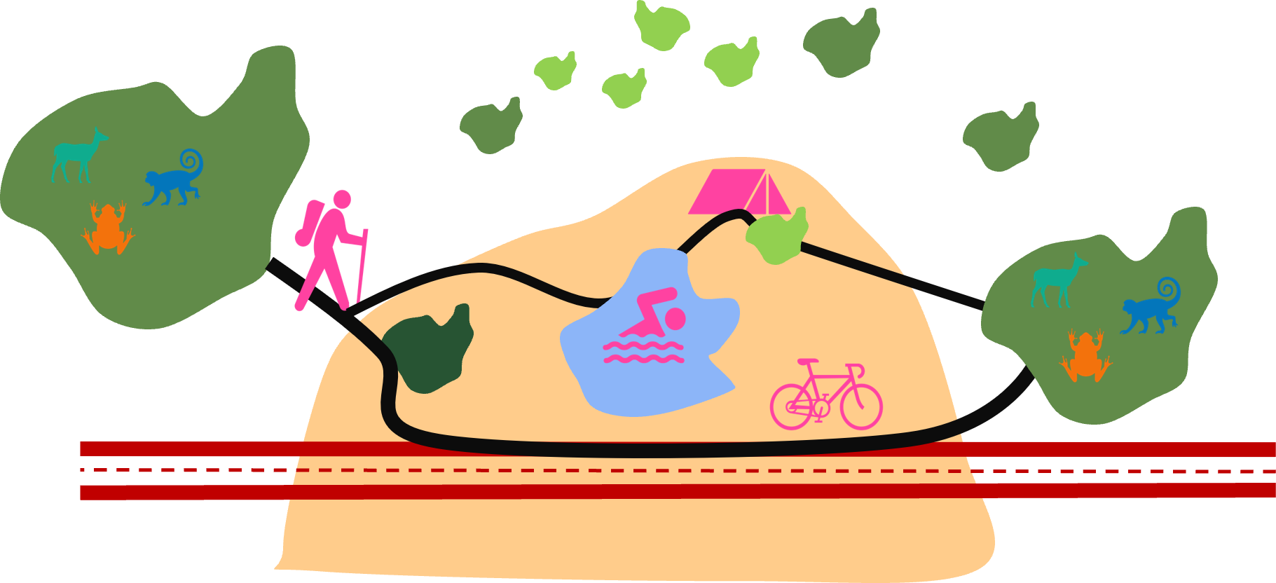 Curso Corredores Ecológicos