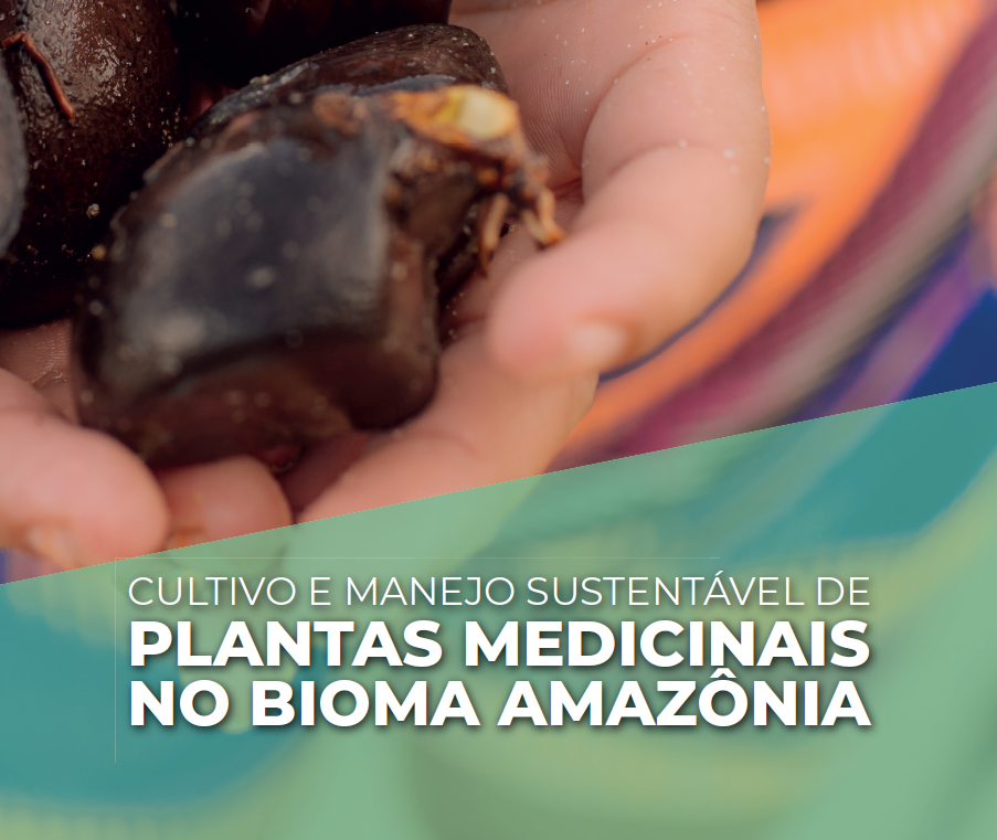 plantas medicinais amazonia