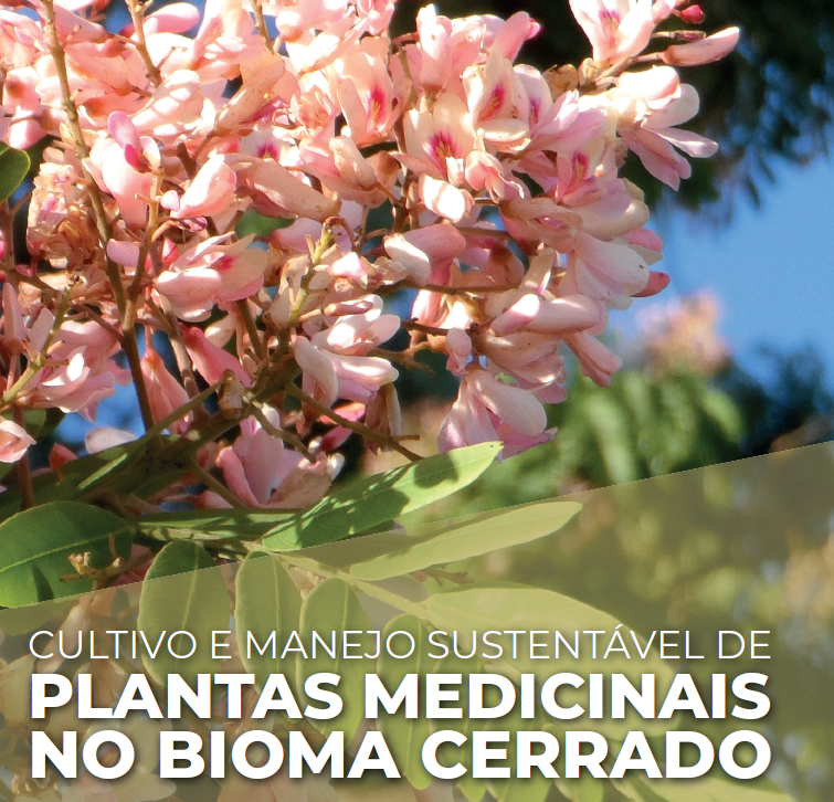 plantas medicinais cerrado