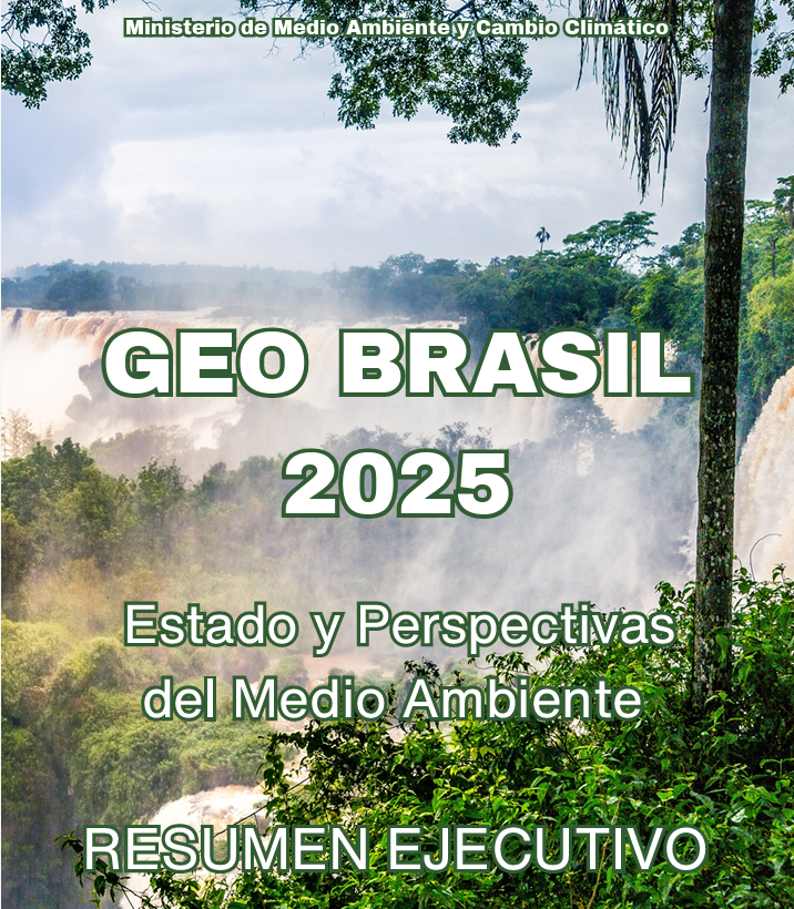 geobrasil 2025 resumen ejecutivo