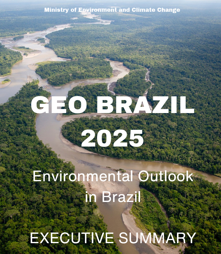 geo brazil 2025 executive summary