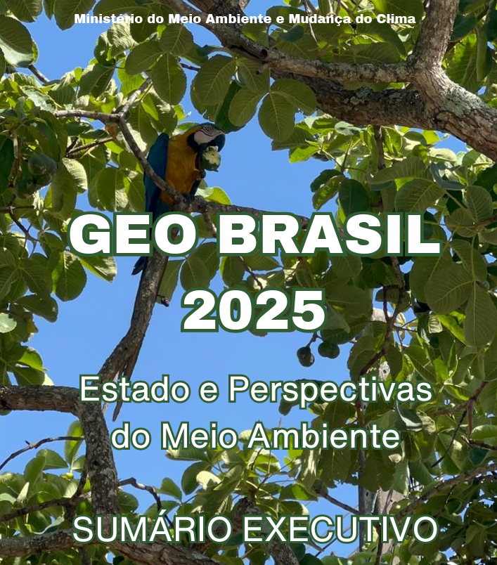 geobrasil 2025 sumário executivo