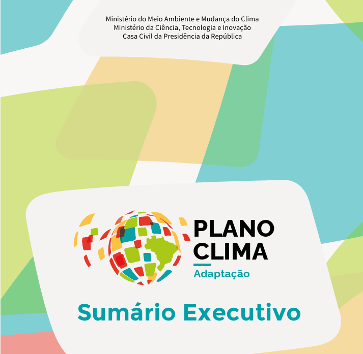 sumario executivo adaptação