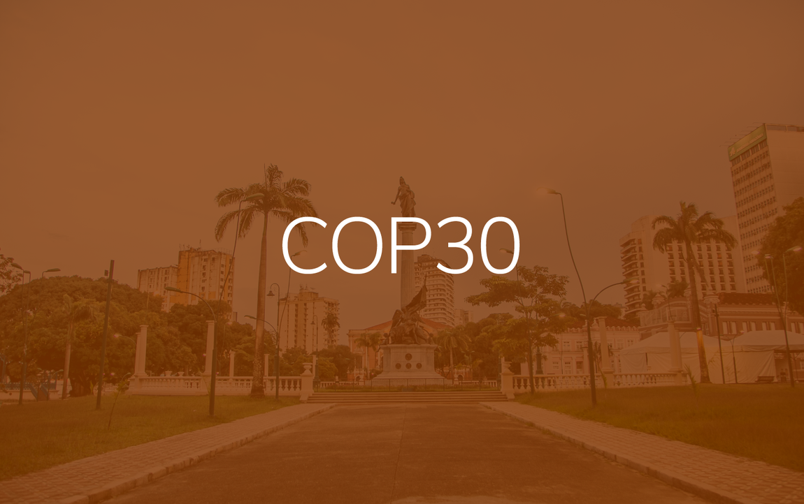 publicação COP30