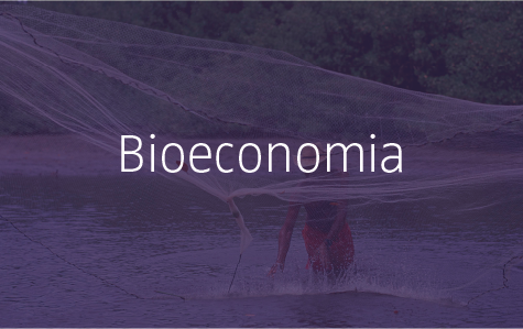 Bioeconomia