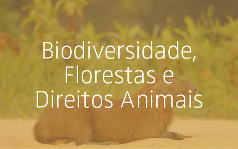 Biodiversidade, Florestas e Direitos Animais