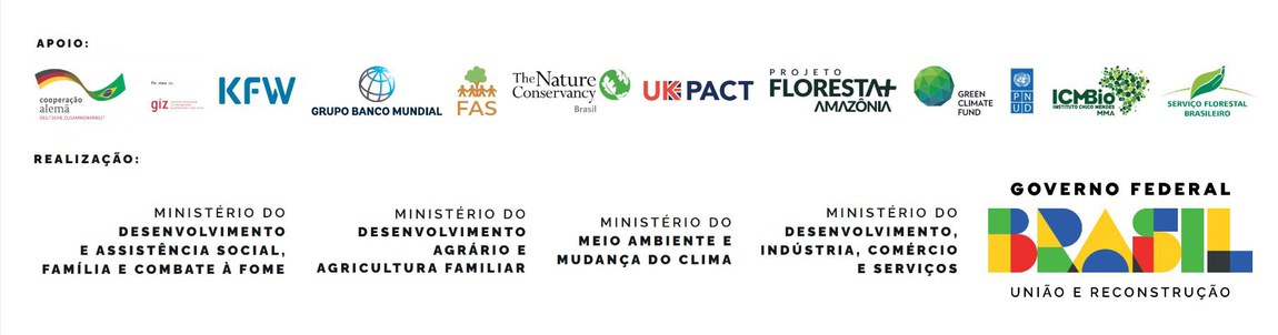 Barra de logomarcas. Na fila superior: Cooperação Alemã. GIZ, UK Pact, The Nature Conservacy Brasil, Projeto Floresta + Amazônia, Green Climate Fund e PNUD.
