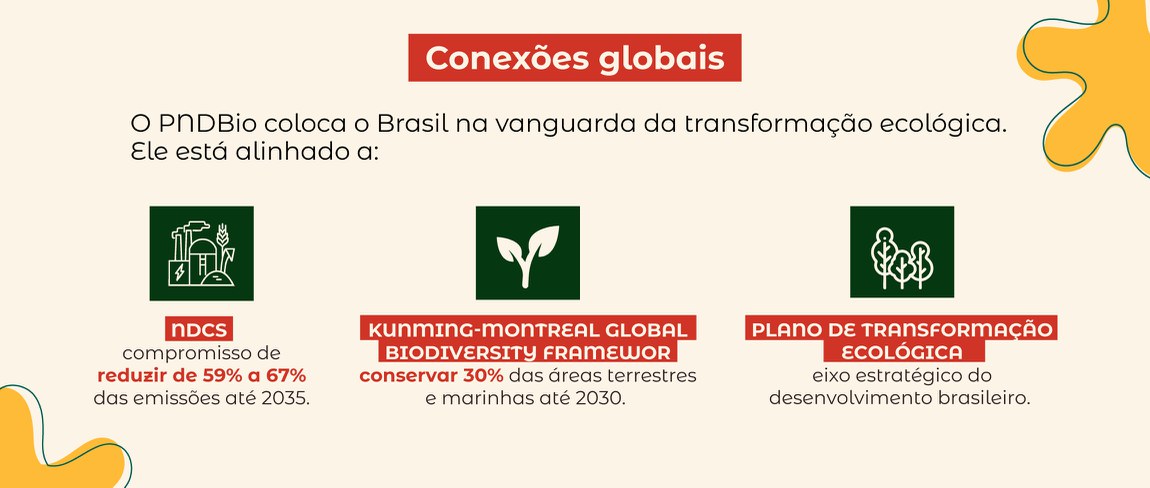 conexões globais