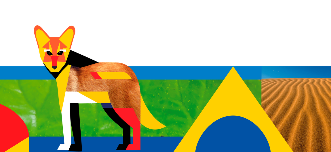 Banner COP 16 Raposa