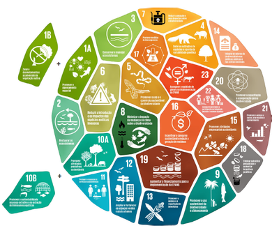 mosaico metas nacionais.png